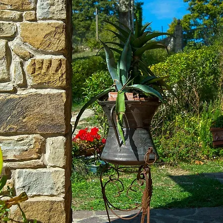 With 5 Bedrooms In Arezzo, With Private Pool, Furnished Terrace Arezzo